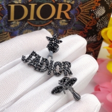 Christian Dior Earrings